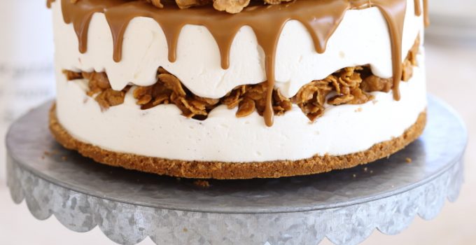 Gateau Glace Au Mascarpone Et Speculoos