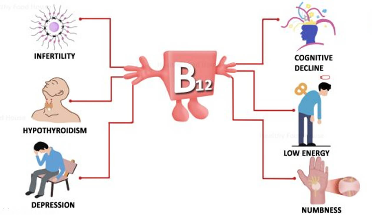 7 Signes Silencieux De Carence En Vitamine B12